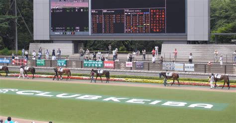 127土 1日パック｜🐴競馬初心者に優しい🐴予想家がんつ。