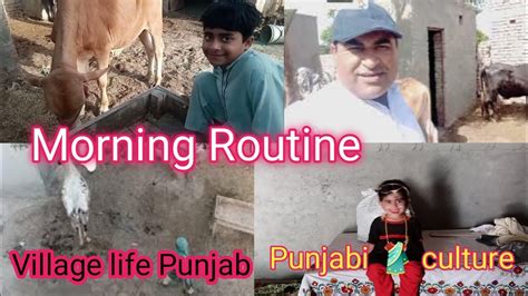 Morning Routine 🌄 Punjab Pakistanvillage Life Routineabid Raheem