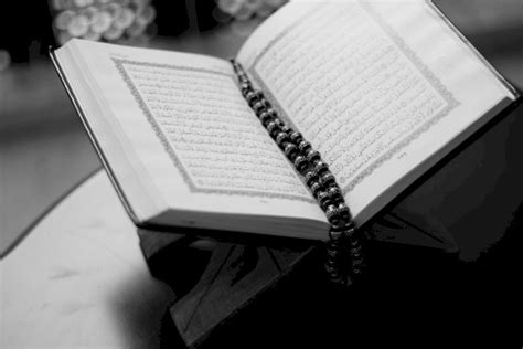 Al Quran Cahaya Petunjuk Dan Sumber Ilmu Kehidupan Daarul Qur An