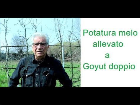 Potatura Melo Allevato A Guyot Doppio Youtube