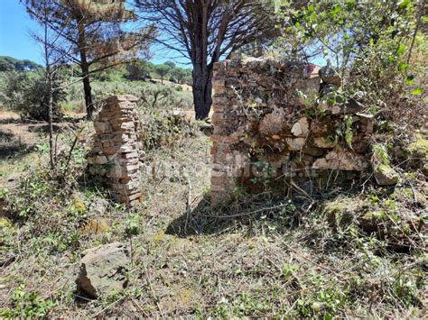 Terreno Agricolo Contrada Campi Castanea Delle Furie Messina Rif