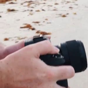 Benjamin Ahlblad Hot Blonde Model Page Lpsg