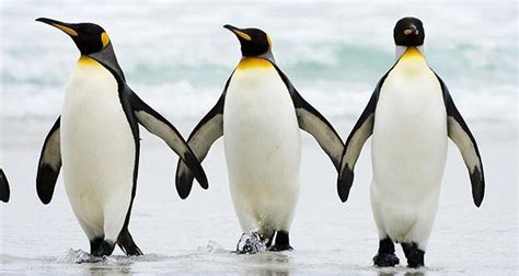 Sex स जड य 20 रचक फकटस जन कर आप भ बलग Hawww ऐस भ ह सकत ह ScoopWhoop Hindi