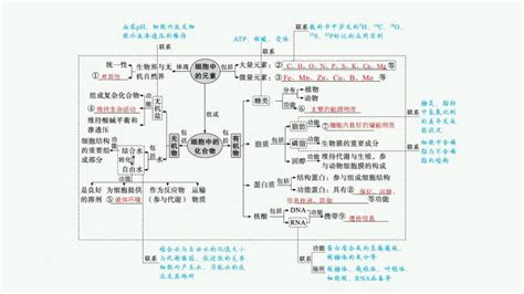 人教版新高考生物二轮复习课件 细胞的分子基础 教习网课件下载