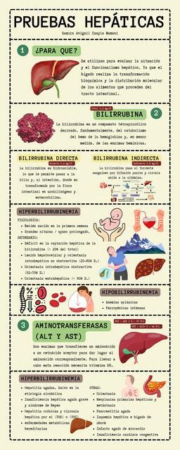 Pruebas hepáticas y pancreáticas Samira Cuayla Mamani uDocz