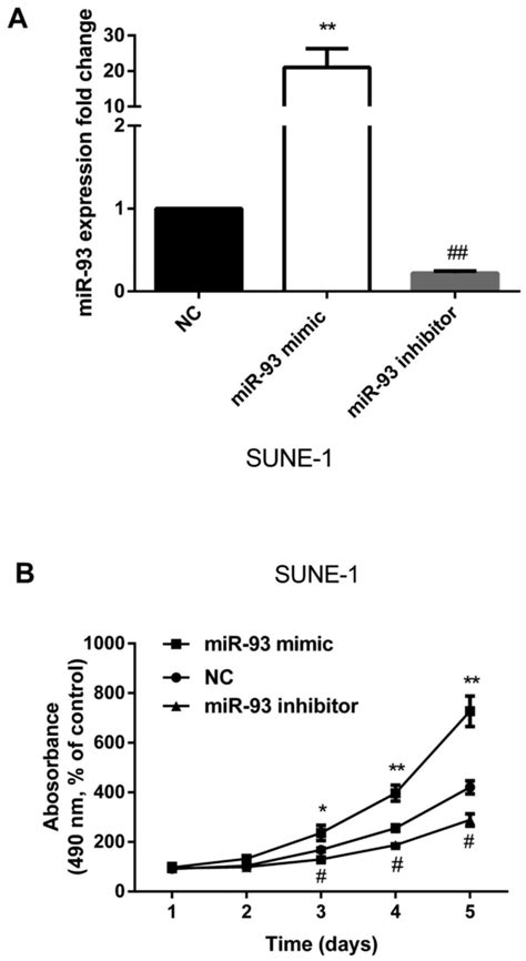 Mir Enhances Cell Proliferation By Directly Targeting Cdkn A In