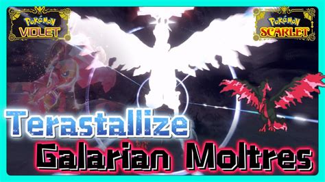 Terastallize Galarian Moltres VS Shiny Galarian Moltres Scarlet And