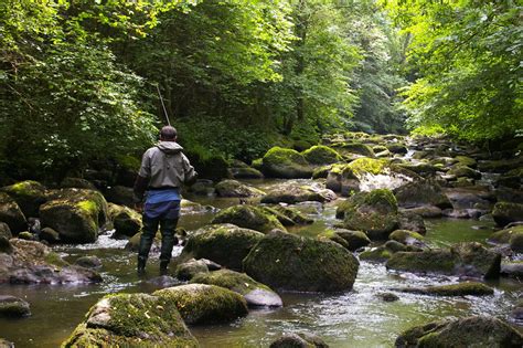 Sous la barre symbolique des 1 000 pêcheurs comment La Flérienne