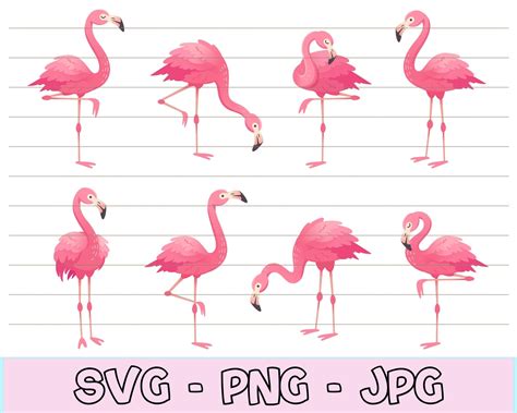 Cute Pink Flamingo Svg For Shirt Flamingo Svg Bundle Etsy