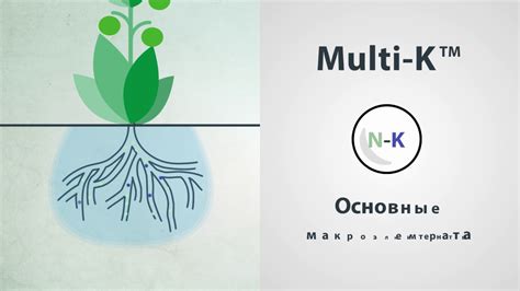 Multi K - лучший источник калия для растений - YouTube