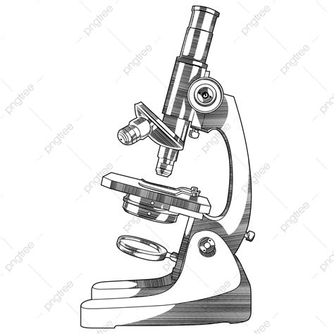 Microscope Vector Hd Png Images Microscope Microscope Drawing