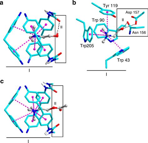 Comparison Of The Binding Modes For Ch And Ach In Host 2 And ChoX A