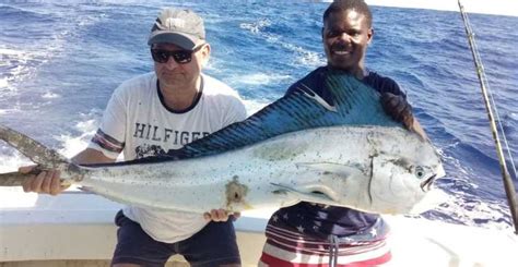 4 Horas De Pesca En Alta Mar En Punta Cana GetYourGuide