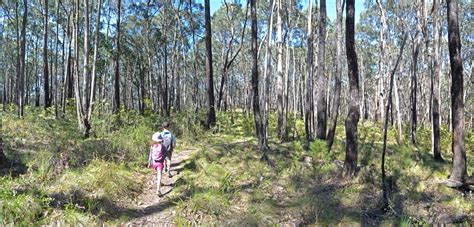 Lerderderg Heritage River Walk Wombat State Forest