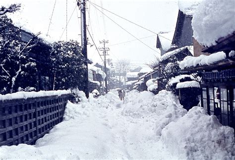 TOYAMA - deweywebster