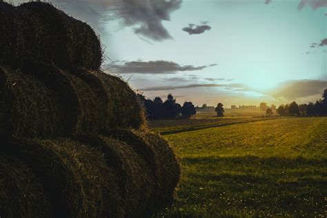 About — Land Broker Co-op