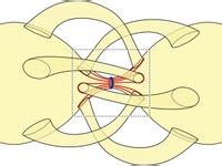 11 Algebraic topology ideas | topology, math, product rule