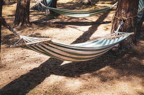 Hammocks Hanging On Trees Stock Image Image Of Relaxing 131848917