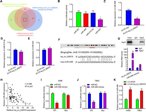 Hsa Circ Promotes Clear Cell Renal Cell Carcinoma Tumorigenesis