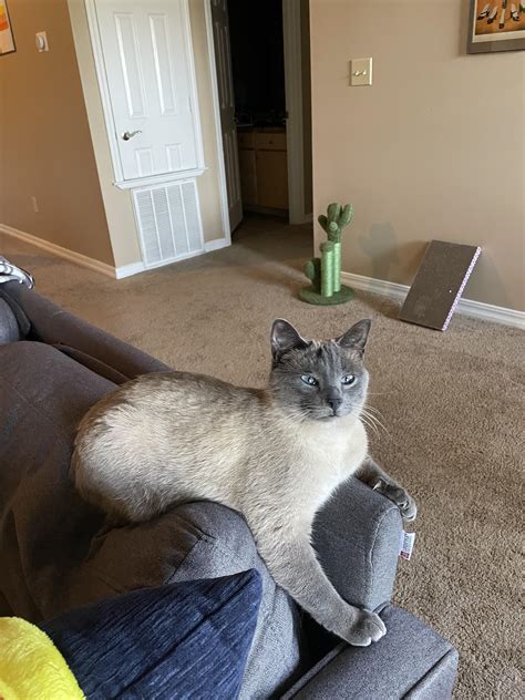 Overview For Slimey Pussy