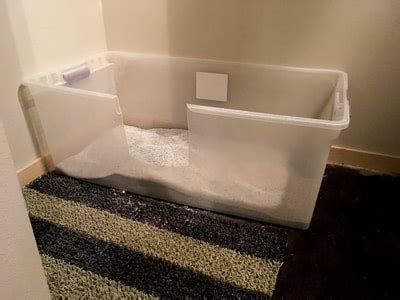 The Ultimate Litter Box A Guide To Making A Large Litter Box From