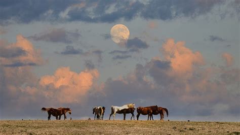 Dicas para fotos incríveis da Lua cheia o celular