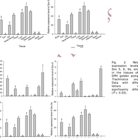 Relative Expression Levels Of Sox 5 8 9a And 9b During The Early