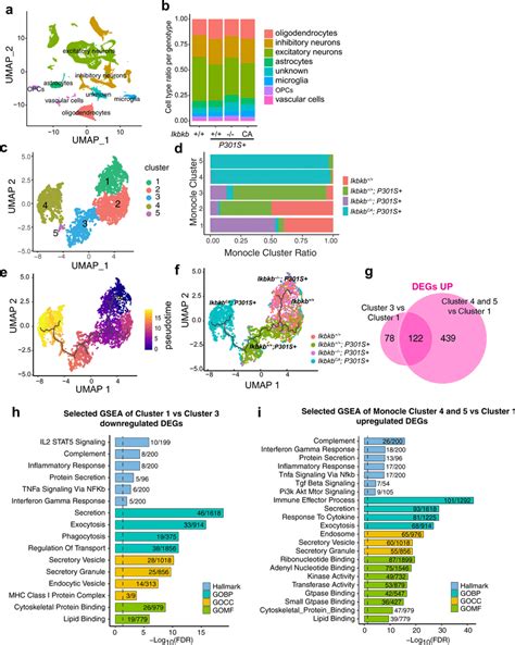 Nf B Is Required To Induce Tau Associated Microglia States In Ps