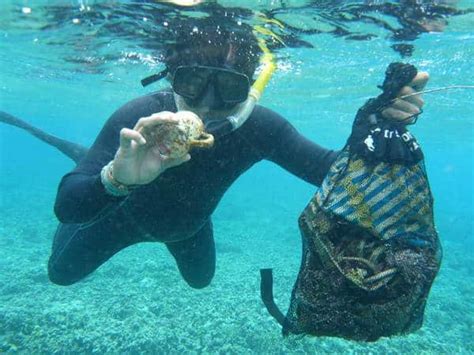 Dive Against Debris In Bunaken Two Fish Divers