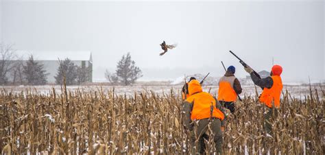 Deboers Guide Service South Dakota Pheasant Hunting Photos