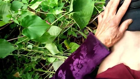 Free Asian Gilf Porn Videos Xhamster