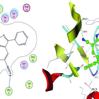 A 2D And 3D Binding Mode Of Compound 7b Inside The Active Site Of DNA