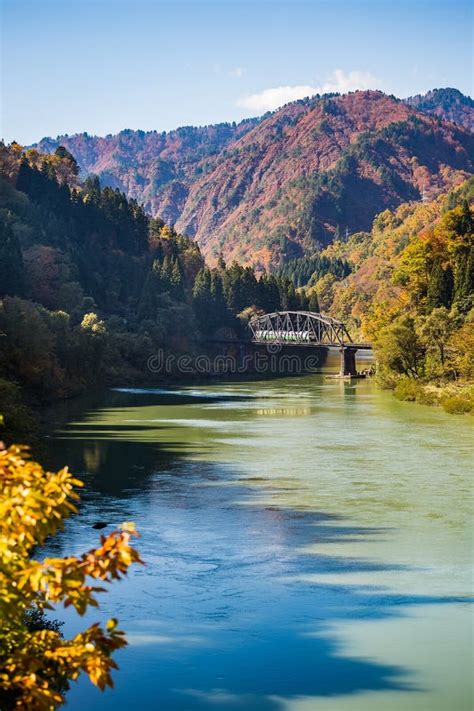 Train and Tadami River in Autumn Stock Photo - Image of fall, holiday ...