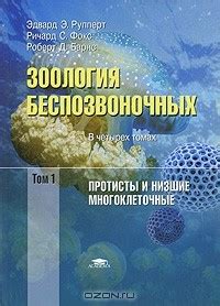Зоология беспозвоночных. В 4 томах. Том 1. Протисты и низшие ...