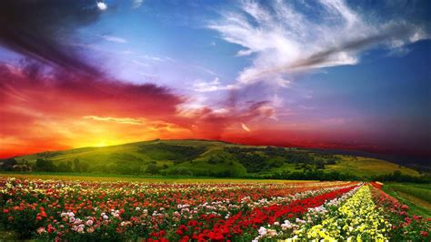 Colorful Landscape Wallpapers - Top Free Colorful Landscape Backgrounds ...