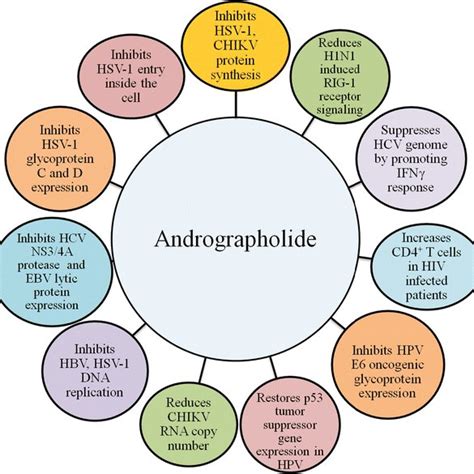 Effects Of Andrographolide On The Immune System And Virus Entry And