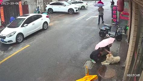 女子路边逗狗遭撕咬满脸是血，警方已介入，律师：若未拴绳狗主人将担责 责任 侵权 滨海