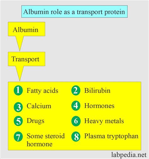 Serum Proteins (Total Serum Proteins) - Labpedia.net