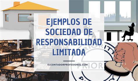 Ejemplos De La Sociedad De Responsabilidad Limitada Contador Profesional