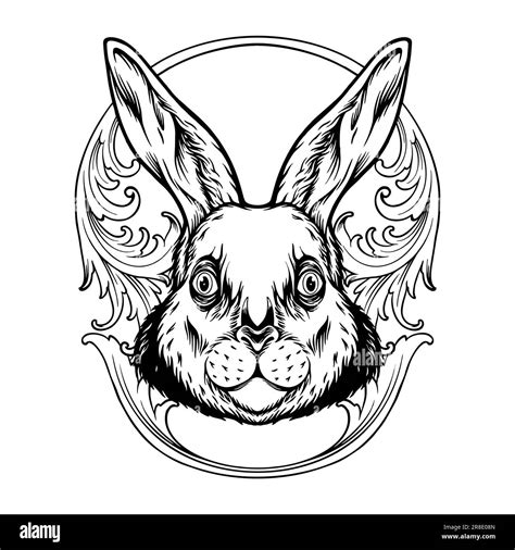 Bunnyartwork Hi Res Stock Photography And Images Alamy