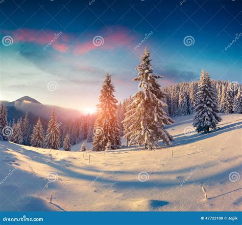 Beautiful Winter Sunrise In Snowy Mountains Stock Photo - Image: 47722108