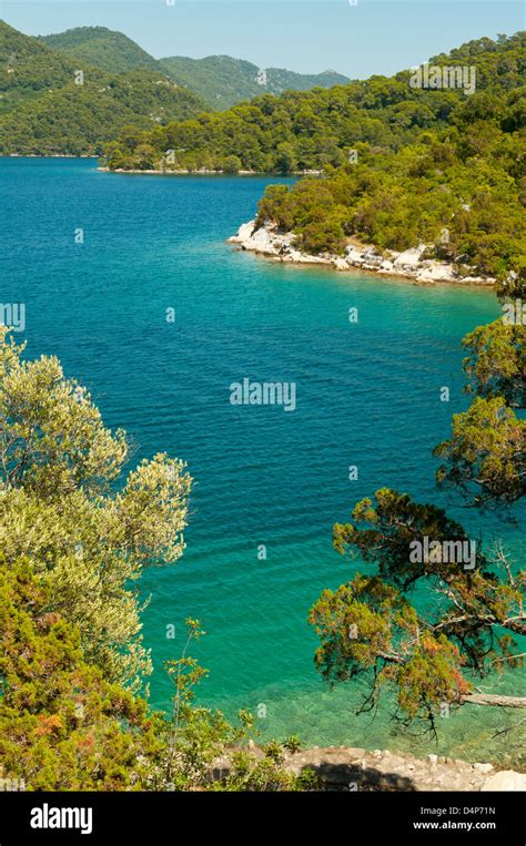 Lake Veliko, Mljet National Park, Mljet, Croatia Stock Photo - Alamy