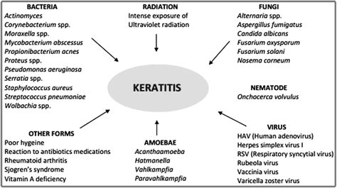 Toll Like Receptor Associated Keratitis And Strategies For Its Management Springerlink