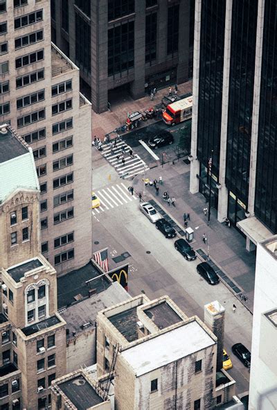 Here Are Some Ants From A Top Of The Rock Tumbex