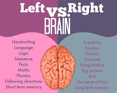 Left Brain Vs Right Brain Venn Diagram Left Brain Vs Right B 
