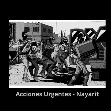 Acciones Urgentes De Casos En Nayarit Idheas Litigio Estrat Gico