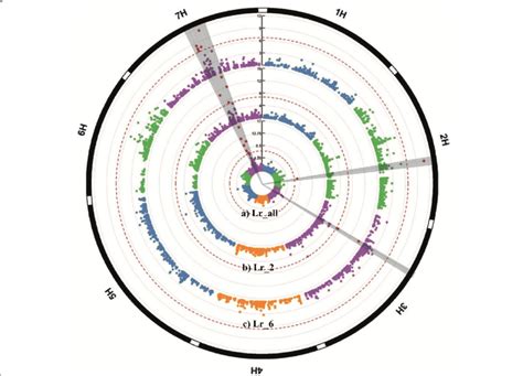 Circular Manhattan Plots Of Genome Wide Association Scans For Seed