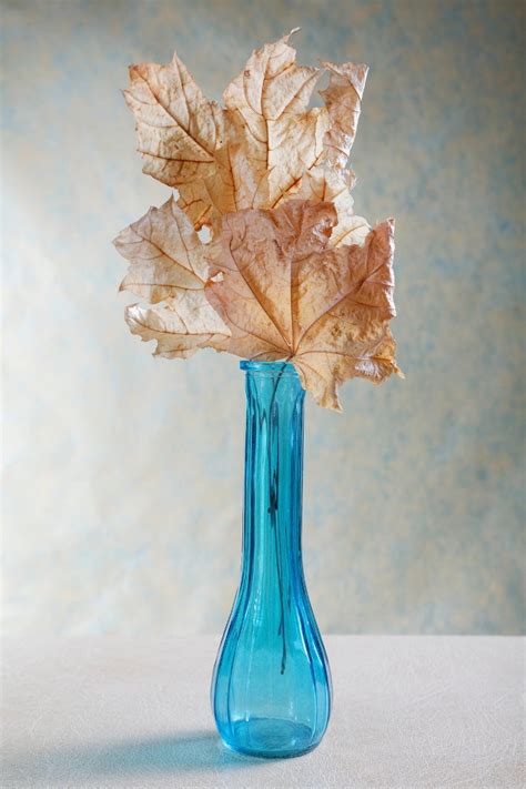 3 Ways To Decorate With Real Dried Leaves DoItYourself