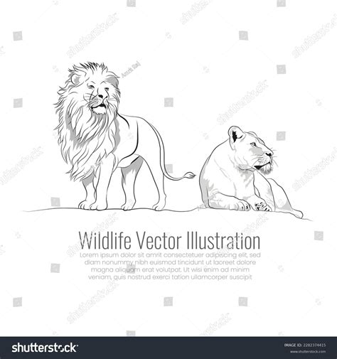 Lion Relaxation: Over 1,666 Royalty-Free Licensable Stock Illustrations