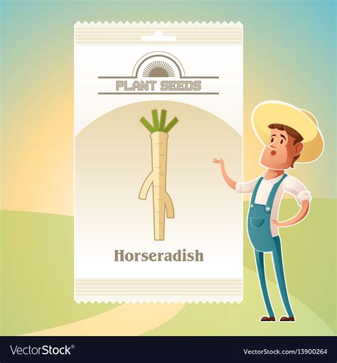 Pack of horseradish seeds icon Royalty Free Vector Image